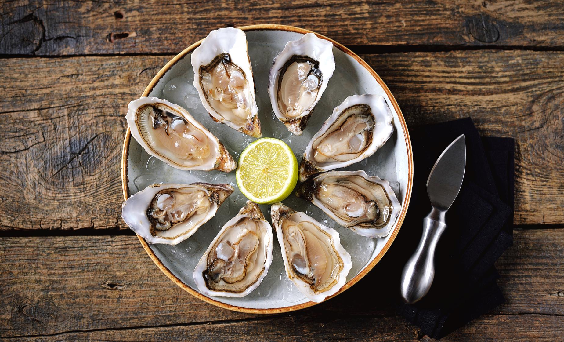 Wine and Oysters - Image 1