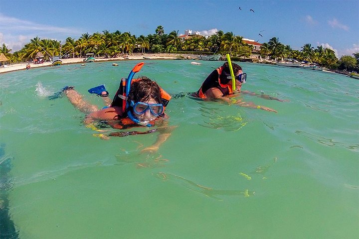 Akumal Marine Turtle Daily Tour - Image 4