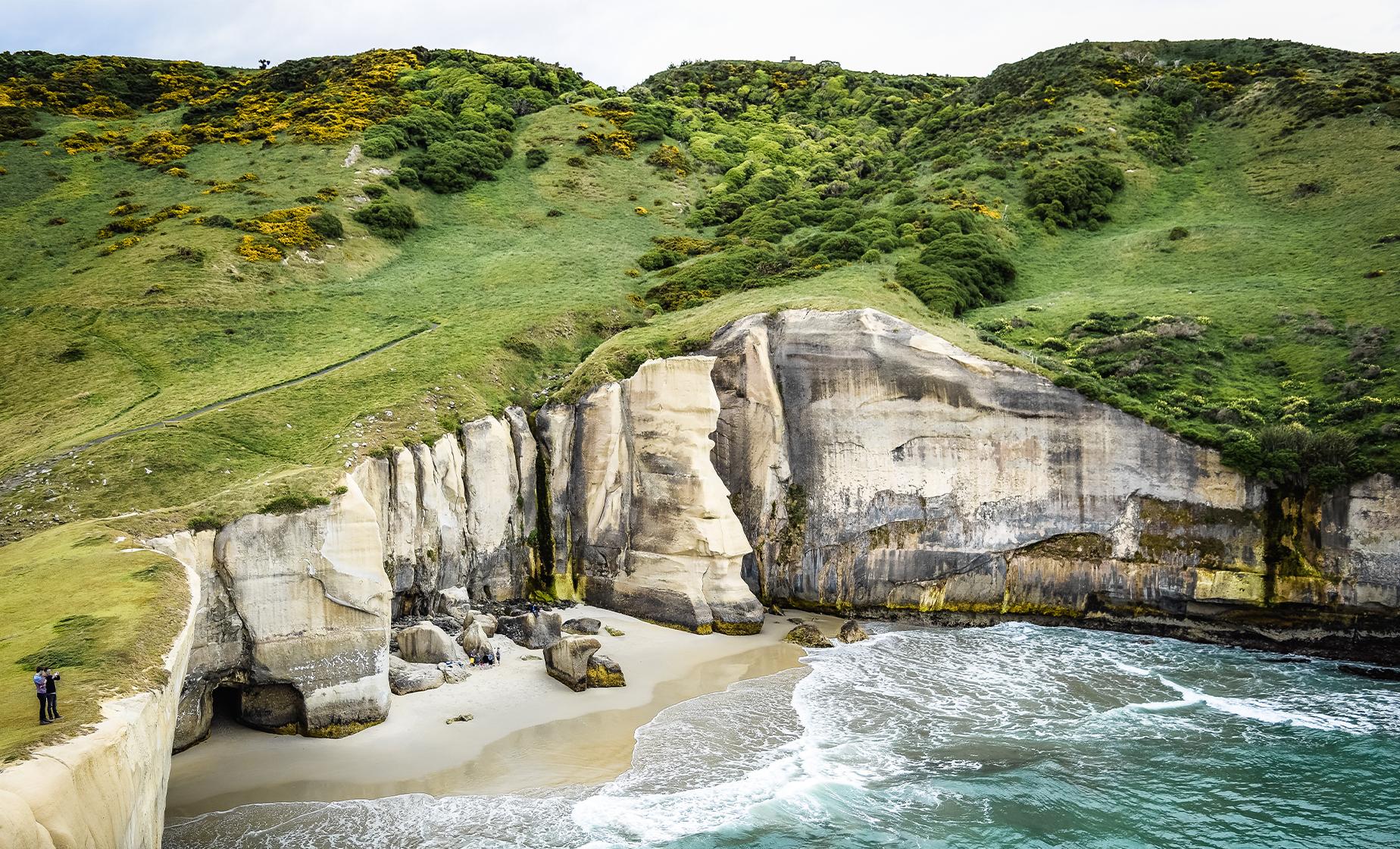 Bays, Beaches and Views of Dunedin - Image 1