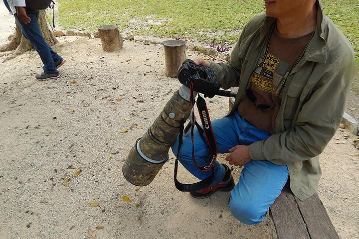 Birdwatching Yucatan 3 days trip focus on endemic birds - Image 2