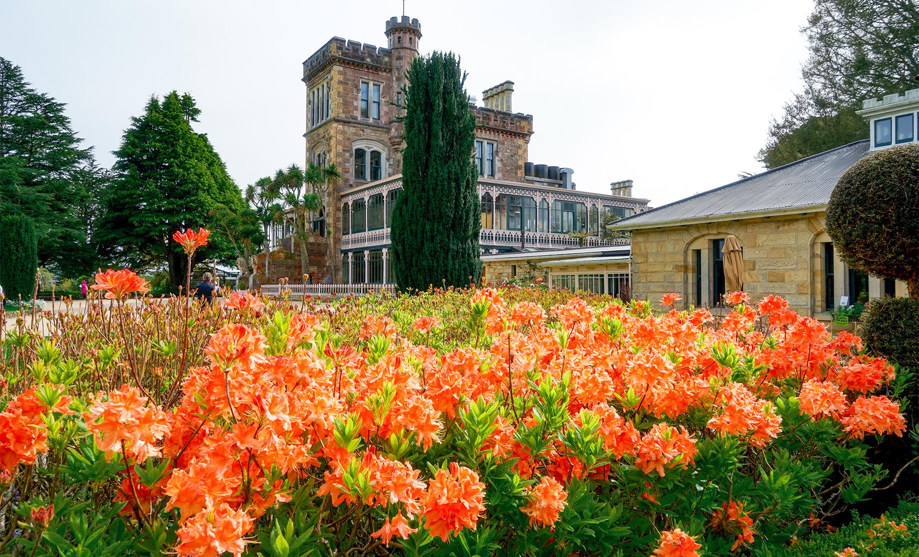 Dunedin City, Castle, and Gardens - Image 1