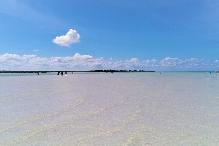 Full Day Excursion to the Best of Holbox From Riviera Maya - Image 5