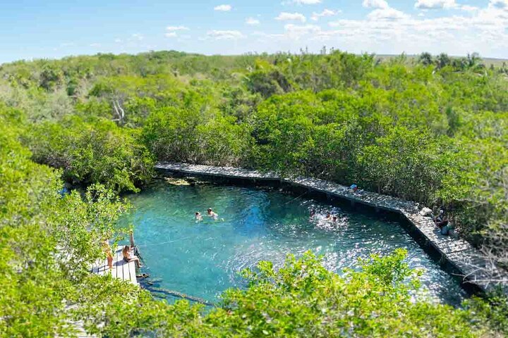 Full Day Excursion to the Best of Holbox From Riviera Maya - Image 2