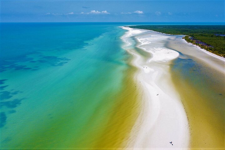 Full Day Excursion to the Best of Holbox From Riviera Maya - Image 3