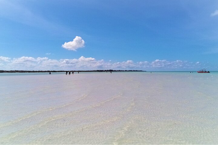 Full Day Excursion to the Best of Holbox From Riviera Maya - Image 4