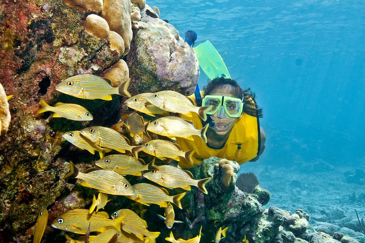 Full-Day Snorkel Extreme Adventure Tour from Riviera Maya - Image 1