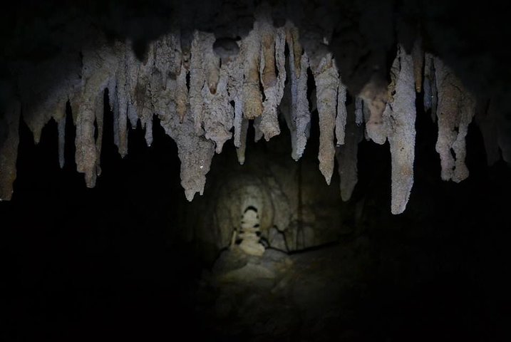 Hidden Cenote exploration in Playa del Carmen - Image 5