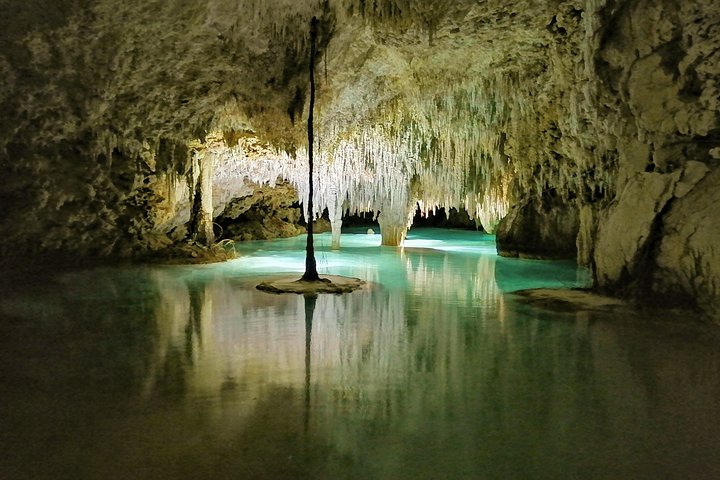 Hidden Cenote exploration in Playa del Carmen - Image 1