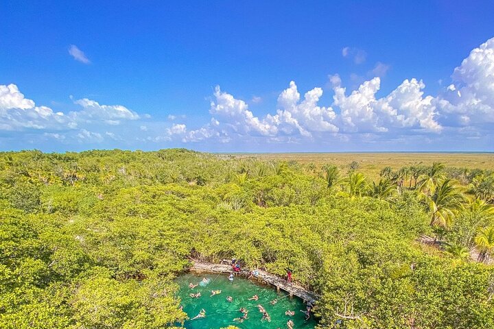 Holbox Full Day Tour from Cancun with Lunch - Image 2