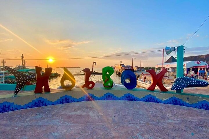 Holbox Full Day Tour from Cancun with Lunch - Image 5