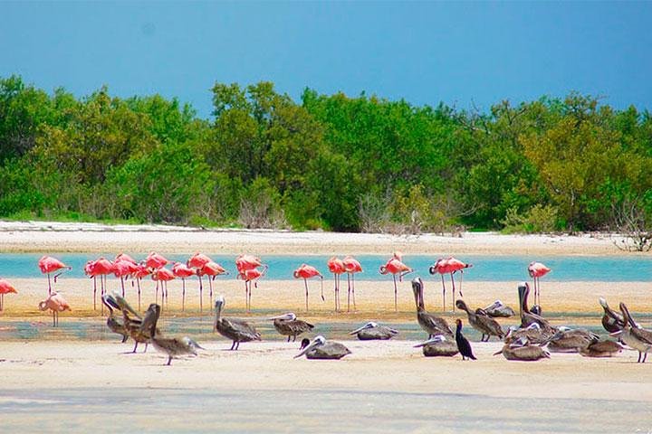HOLBOX ISLAND TOUR from Riviera Maya and Cancun (Private) - Image 1