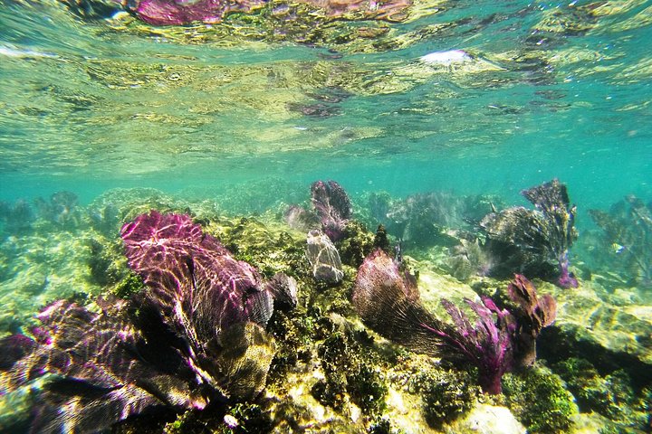 Isla Mujeres Private Dream Getaway - Image 3