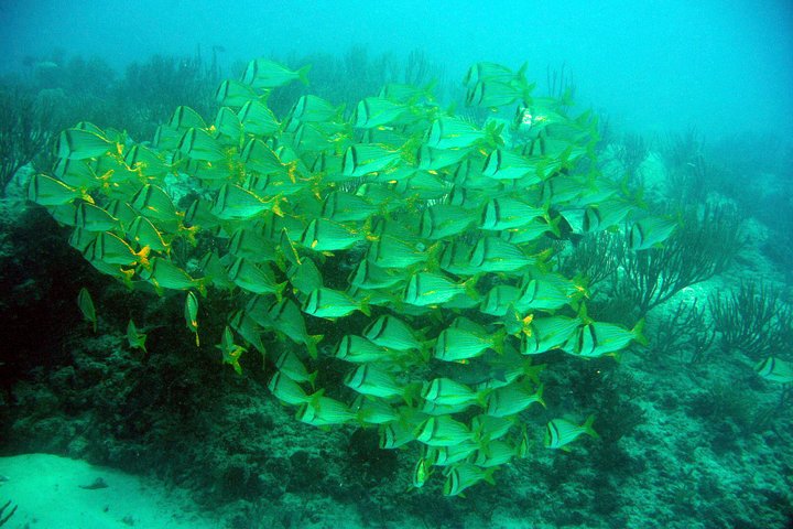Isla Mujeres Private Dream Getaway - Image 5