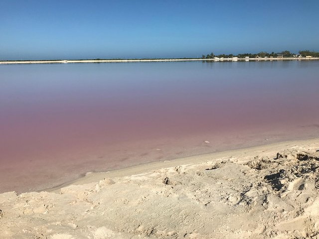 LAS COLORADAS & RIO LAGARTOS from Riviera Maya and Cancun (Private) - Image 1
