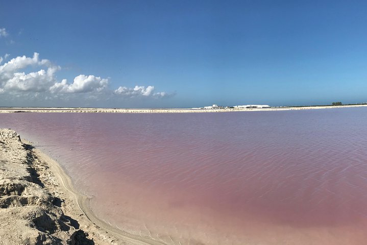 LAS COLORADAS & RIO LAGARTOS from Riviera Maya and Cancun (Private) - Image 5