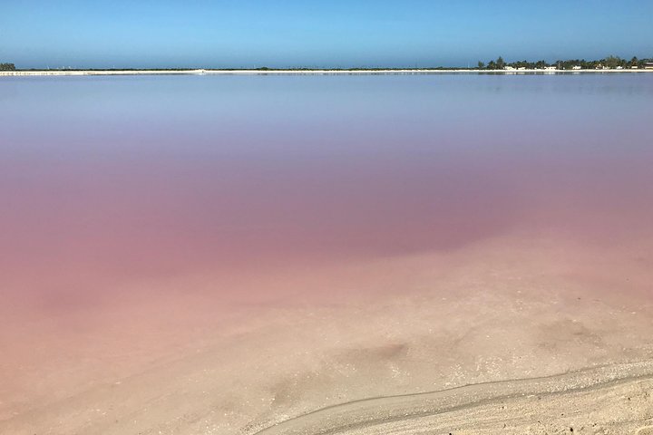 LAS COLORADAS & RIO LAGARTOS from Riviera Maya and Cancun (Private) - Image 4