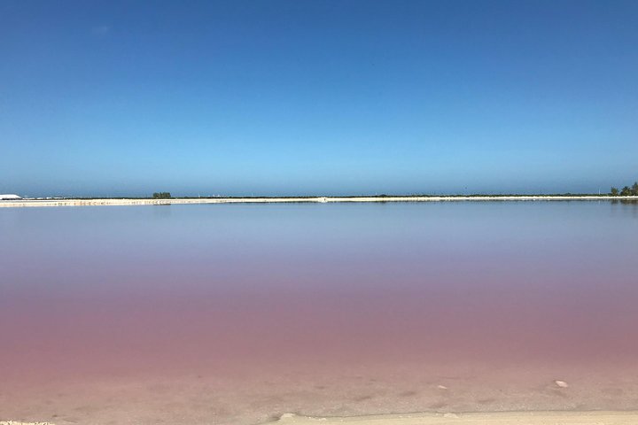LAS COLORADAS & RIO LAGARTOS from Riviera Maya and Cancun (Private) - Image 3