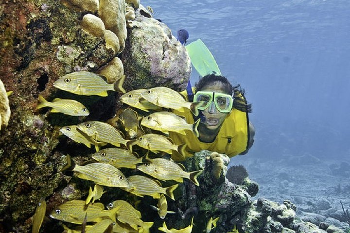 Mayan Adventure from Riviera Maya - Image 2