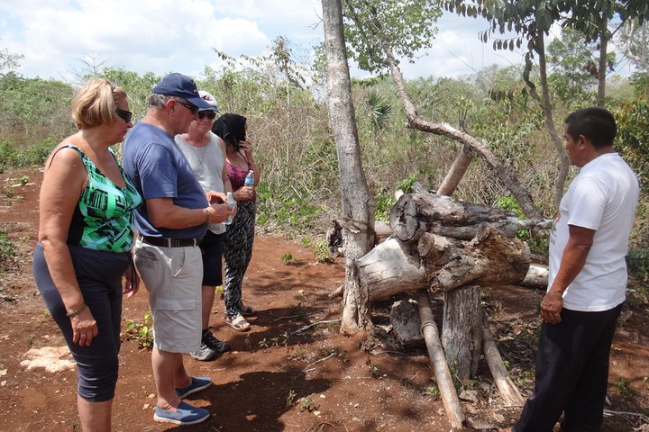 Playa del Carmen Cultural Day Tour - Image 3