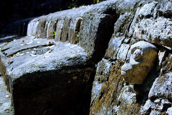 Private Half Day Tour to Coba Archaeological Zone and Cenote - Image 5