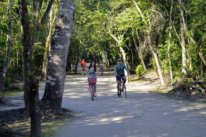 Private Half Day Tour to Coba Archaeological Zone and Cenote - Image 4