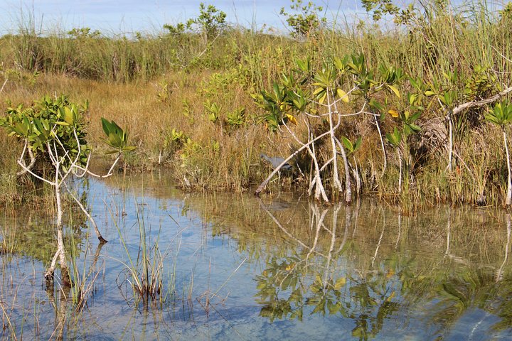 Private Sian Kaan Muyil Lazy River Tour - Image 3