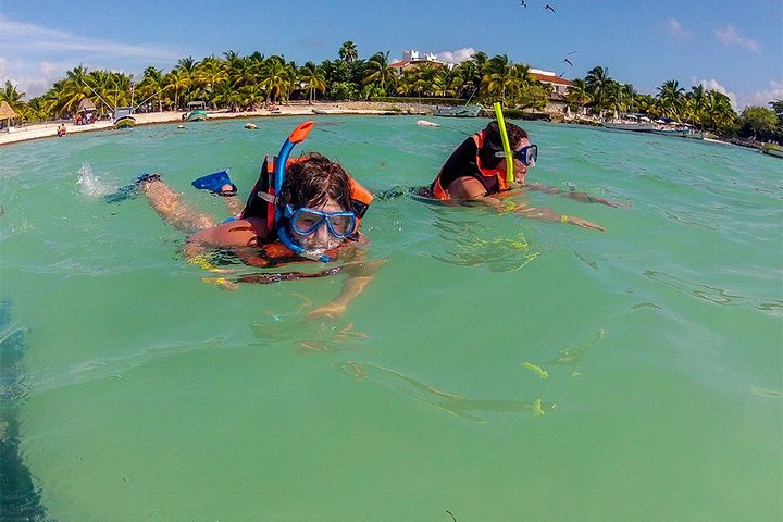 Private Tour: Akumal Marine Turtle Snorkeling and Cenote Adventure - Image 4