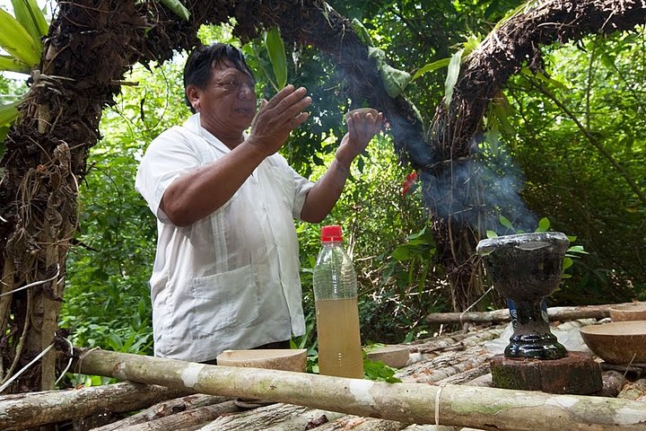 Private Tour Punta Laguna Monkey Sanctuary Zip Line - Image 3