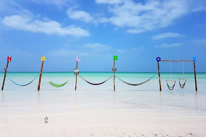 Private Tour To Holbox From Cancun - Image 3