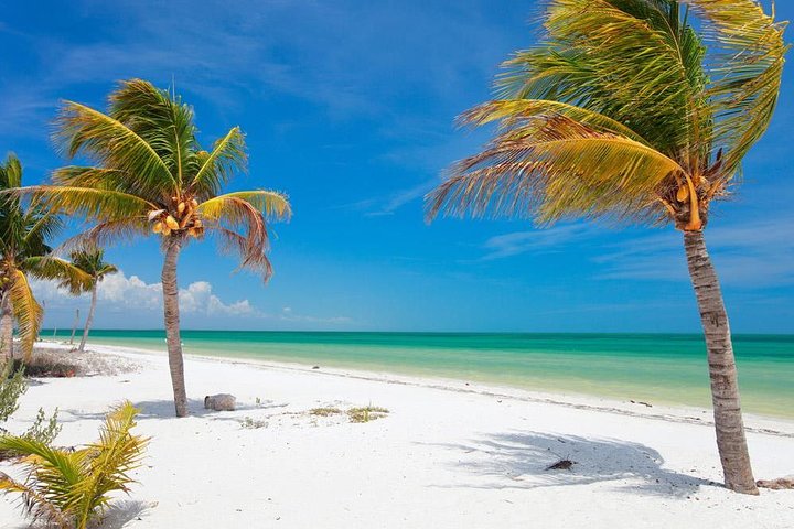 Private Tour To Holbox From Cancun - Image 2
