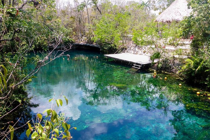 Private transfer for 5 hours (go dinner,cenotes, shopping and more) - Image 3