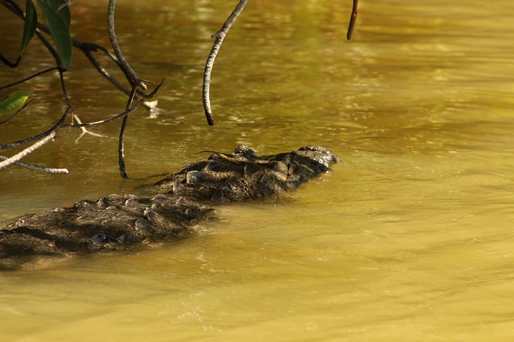 Private Yucatan Discovery Tour - Image 3