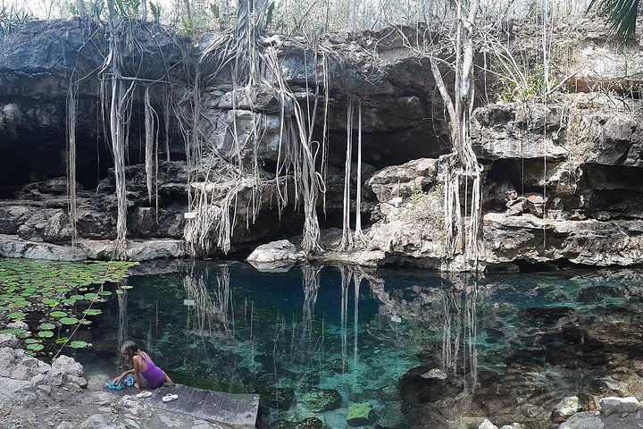 Private Yucatan Highlights Tour - Image 4