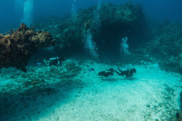 Scuba Diving in Cozumel Island - Image 5