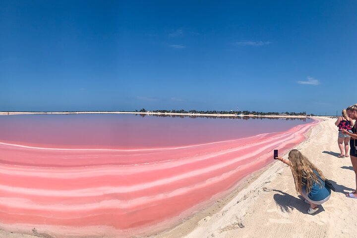 Tour to Rio Lagartos and Coloradas with Lunch from Riviera Maya - Image 5
