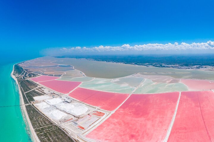 Tour to Rio Lagartos and Coloradas with Lunch from Riviera Maya - Image 1
