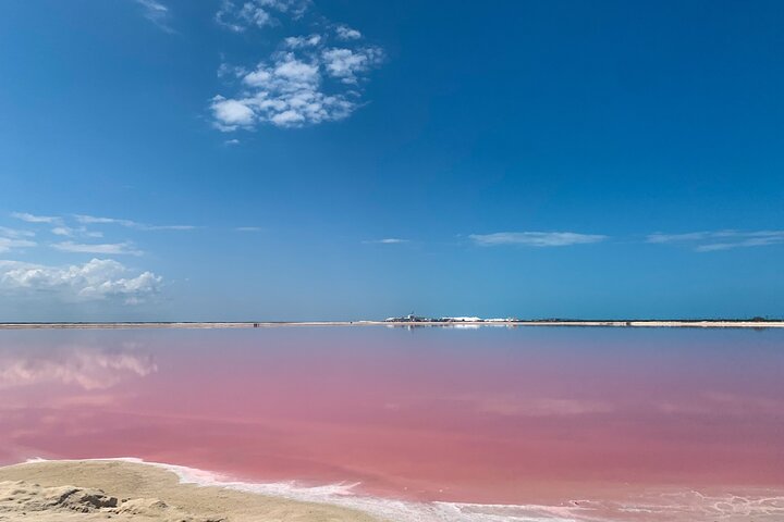 Tour to Rio Lagartos and Coloradas with Lunch from Riviera Maya - Image 4