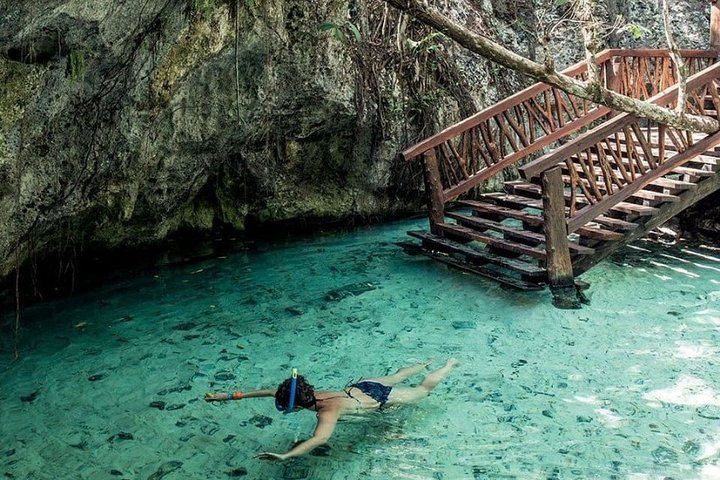 Tulum Coba cenote swim Playa del Carmen  - Image 2