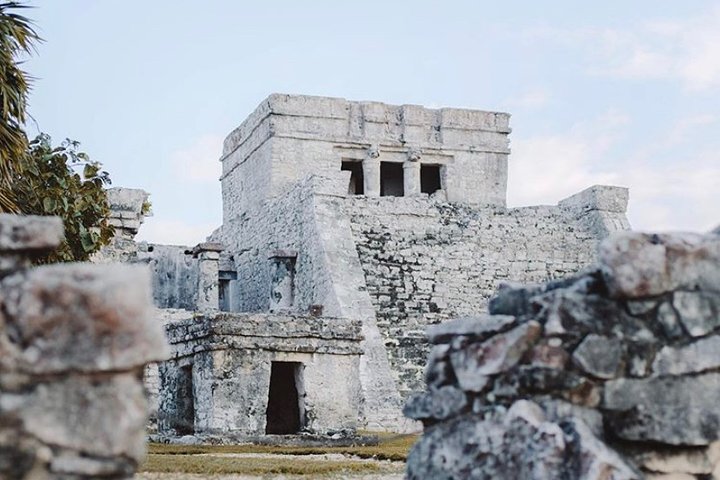 Tulum Coba cenote swim Playa del Carmen  - Image 5