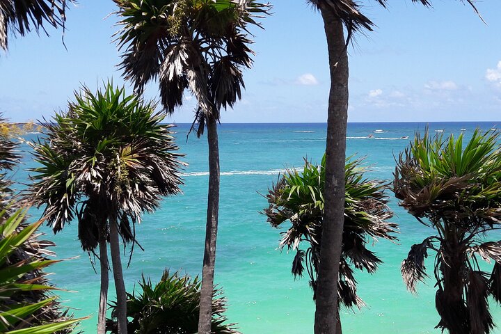 Tulum Private Boat Tour & Turtle Snorkeling Experience - Image 3