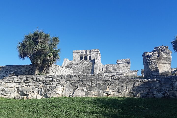 Tulum Private Boat Tour & Turtle Snorkeling Experience - Image 4