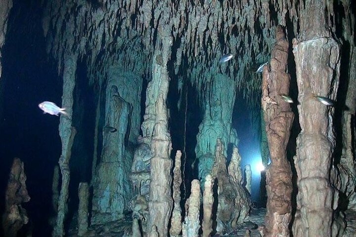  VIP Cenote Scuba Tour, Certified Divers Only - Image 4