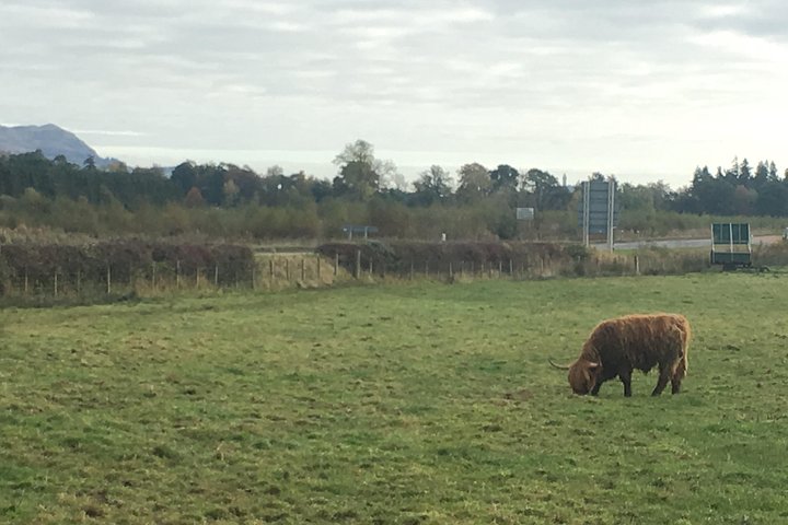 1 day Outlander tour - Image 5