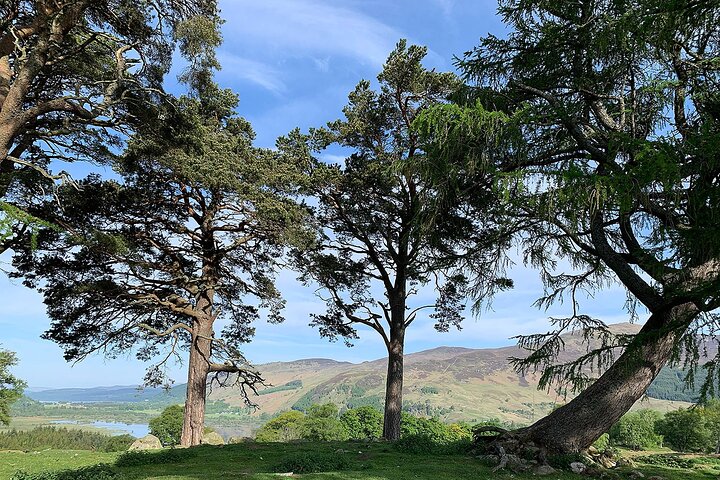 Culloden and Craigh na Dun Outlander Day Tours from Edinburgh - Image 2