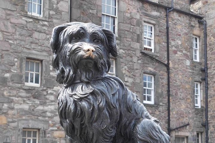 Edinburgh Shore Excursions (Princess & Norwegian) - Image 5