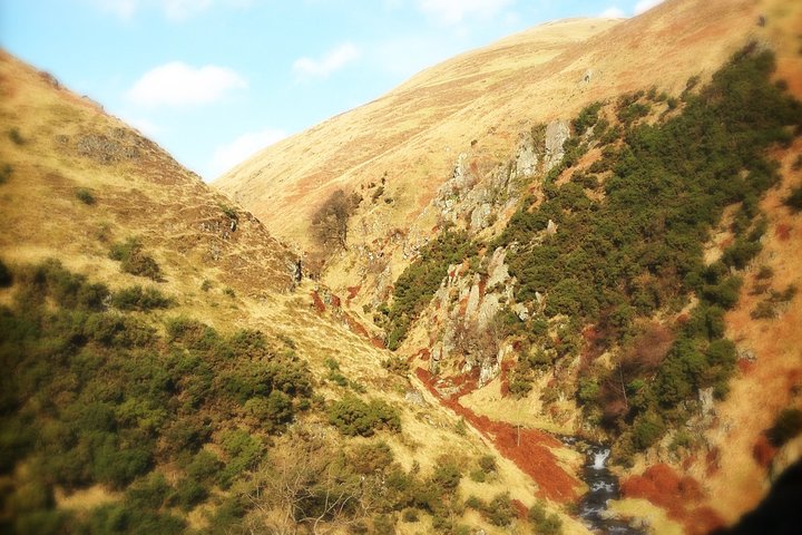 Highland Delights: A Personalised Day Trip Through the Highlands - Image 5