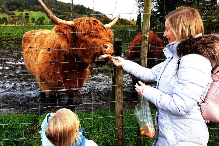 Highlands, Glencoe and Glenfinnan Viaduct Luxury Private Tour  - Image 3