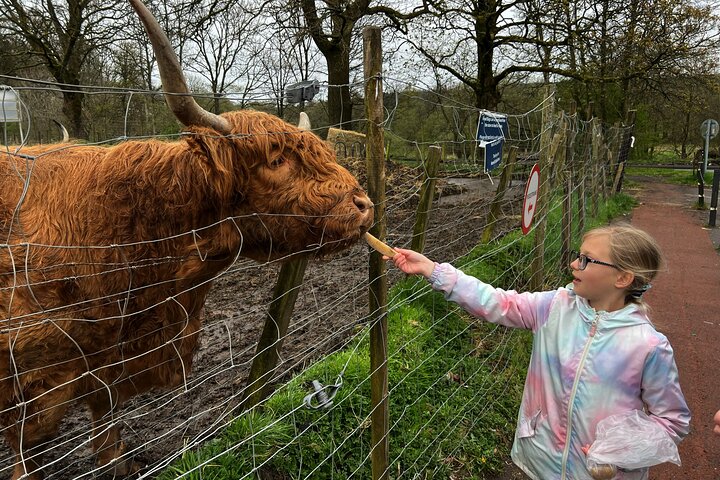 Oban, Whisky, Glencoe, Highlands, Loch Lomond Private Tour - Image 3