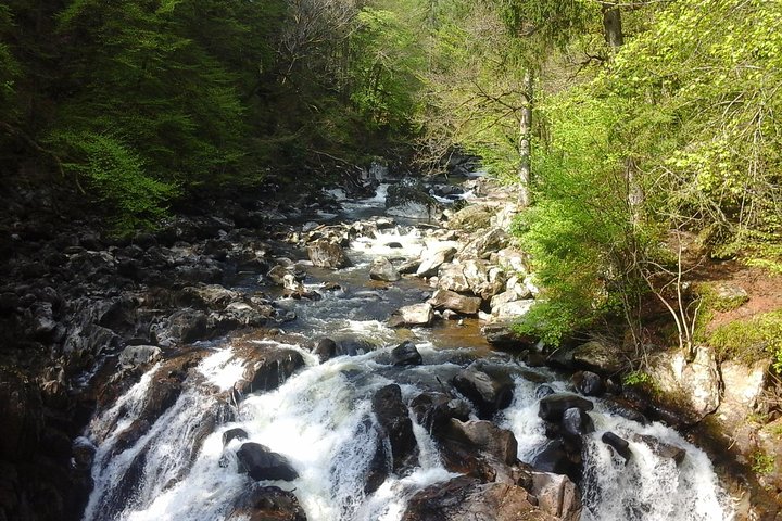 Private 3-Day Tour to the Highlands, Islands and the West Coast  - Image 5