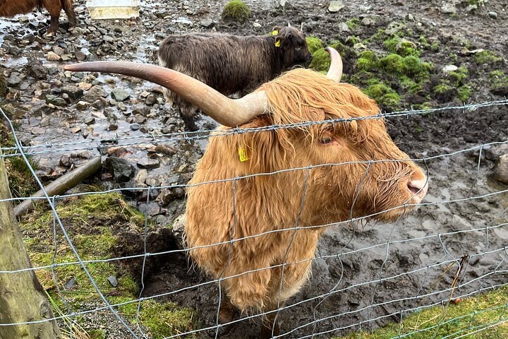 Private Scottish Highlands and Loch Ness Tour from Edinburgh - Image 2